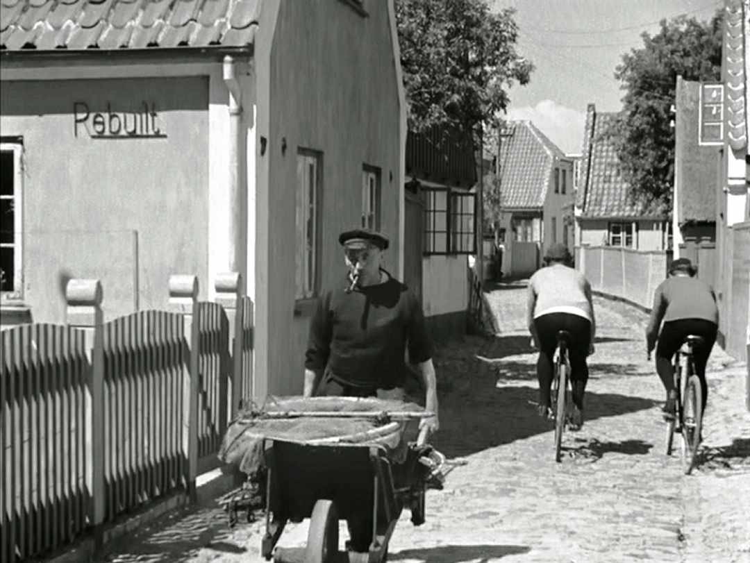 Dines Bogø